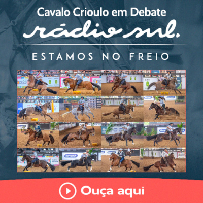 Radiosul.net