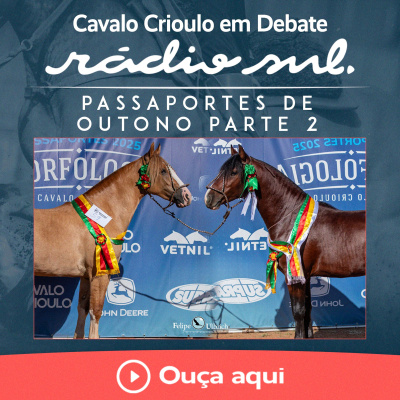 Radiosul.net