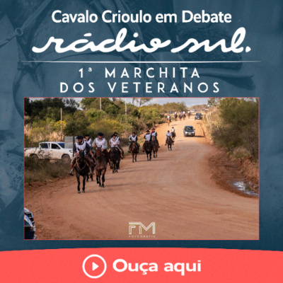 Radiosul.net