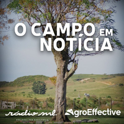 Radiosul.net
