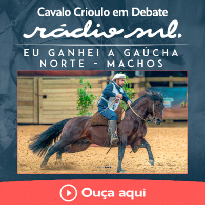 Radiosul.net
