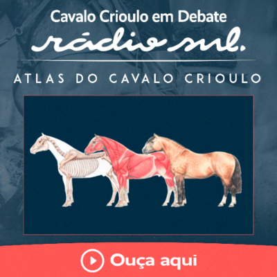 Radiosul.net