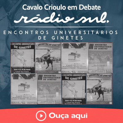 Radiosul.net