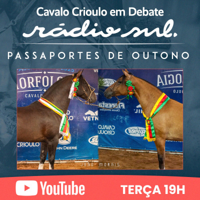 Radiosul.net