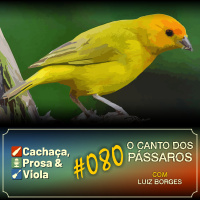 CPV080 - O Canto dos Pássaros
