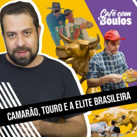 Camarão, Touro e a Elite Brasileira