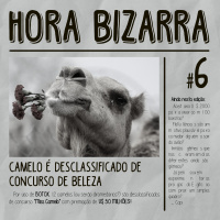 CAMELO é DESCLASSIFICADO de Concurso de BELEZA - Hora Bizarra #6