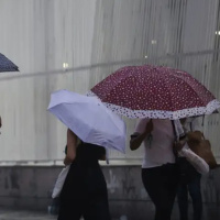 Painel JB 1ª Edição 17/12/2025