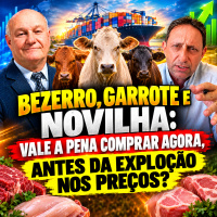 Boi Gordo e Reposição em Foco, com Vlamir Brandalizze e Moacir Naves