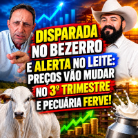 Disparada no BEZERRO e alerta no LEITE: Preços Vão Mudar no 3º Trimestre e Pecuária Ferve!