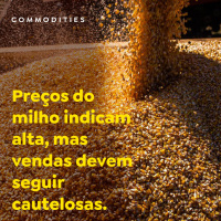 Preços do milho indicam alta, mas vendas devem seguir cautelosas