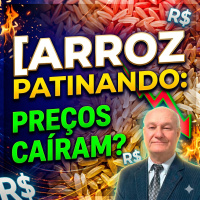  Arroz Patinando Por que os Preços Caíram