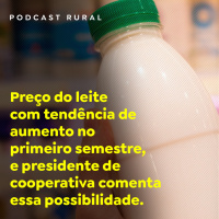 Preço do leite com tendência de aumento no primeiro semestre, e presidente de cooperativa comenta essa possibilidade.