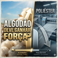 Algodão deve ganhar força frente ao poliéster e impulsionar o mercado