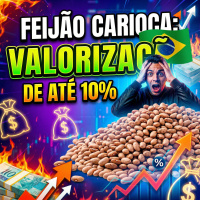 Feijão Carioca: Valorização de até 10% e o que esperar para o mês de abril.