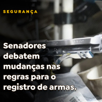 Senadores debatem mudanças nas regras para o registro de armas