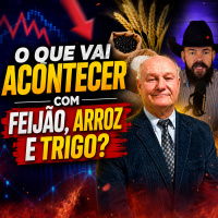 Falta de Oferta no Agro: O que vai acontecer com Feijão, Arroz e Trigo? 