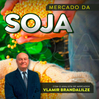 O que esperar para a soja em 2026? Embate China e EUA vai interferir?