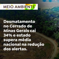 Desmatamento no Cerrado de Minas Gerais cai 34% e estado supera média nacional na redução dos alertas 