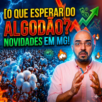 O que esperar do Algodão? Riscos no radar e as novidades em MG! 