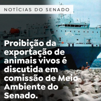 Proibição da exportação de animais vivos é discutida em comissão de Meio Ambiente do Senado