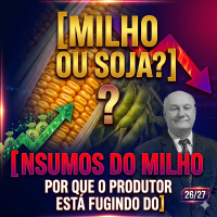 Milho ou Soja? Por que o produtor está fugindo dos insumos do milho para 26/27
