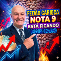 Feijão Carioca nota 9 está ficando mais caro: Entenda o motivo