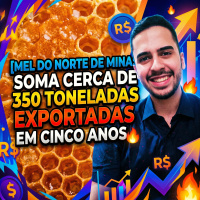 Mel do Norte de Minas soma cerca de 350 toneladas exportadas em cinco anos