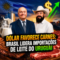 Dólar favorece carnes Brasil lidera importações de leite do Uruguai
