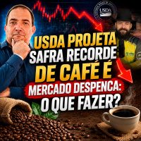 USDA projeta safra recorde de Café e mercado despenca: O que fazer?
