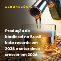Produção de biodiesel no Brasil bate recorde em 2025 e setor deve crescer em 2026