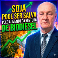 Pressão no Governo: Como a soja pode ser salva pelo aumento da mistura de biodiesel