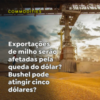 Exportações de milho serão afetadas pela queda do dólar? Bushel pode atingir cinco dólares?