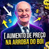 Aumento de preço na arroba do Boi: Escalas curtas e exportação recorde impulsionam