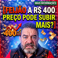 Feijão a R$ 400: É o pico ou o preço pode subir ainda mais? 