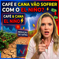 07 Café e cana vão sofrer com o El Niño