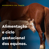 AGRONOMIA EM CAMPO