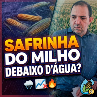 Safrinha do milho debaixo dágua? O impacto das chuvas de junho no ritmo do mercado