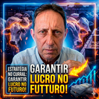 Estratégia no Curral: Como aproveitar o preço atual da reposição para garantir lucro no futuro