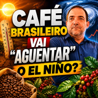 Café brasileiro vai “aguentar” o El Niño? 