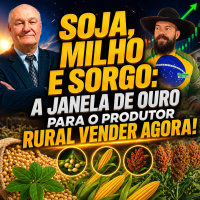 Soja, Milho e Sorgo: A Janela de Ouro para o Produtor Rural Vender Agora!