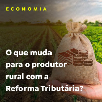 ECONOMIA - P2