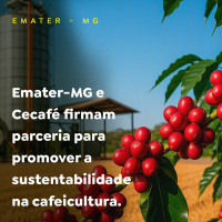 Emater-MG e Cecafé firmam parceria para promover a sustentabilidade na cafeicultura