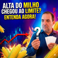  Alta do milho chegou ao limite