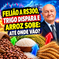 Feijão A R$300, Trigo Dispara e Arroz Sobe: Até Onde Vão?