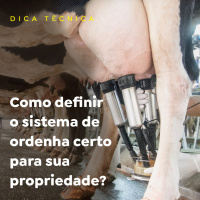 Como definir o sistema de ordenha certo para sua propriedade?