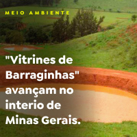 MEIO AMBIENTE
