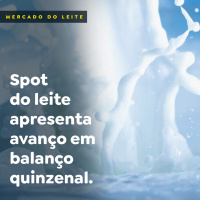 Spot do leite apresenta avanço em balanço quinzenal