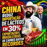 China Reduz Importação de Lácteos em 30% Exportações Brasileiras de Carnes Batem Recordes