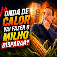 Onda de calor vai fazer o milho disparar?